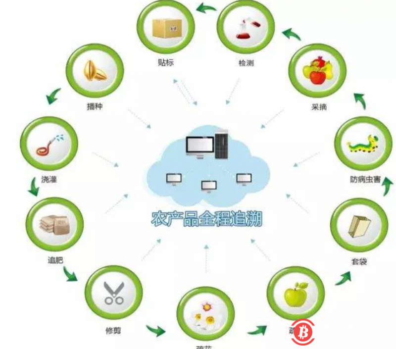 法国总统呼吁欧洲利用街机游戏创新农业